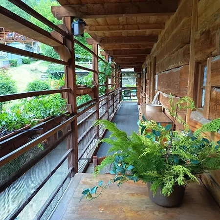 Apartment Reale Alagna Valsesia